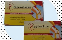 جينكوستازين Gincostazen لعلاج ألام و خشونة المفاصل